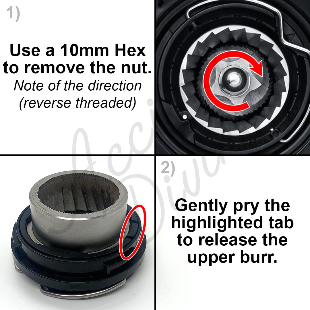 Conical Burrs for Coffee Grinders P852