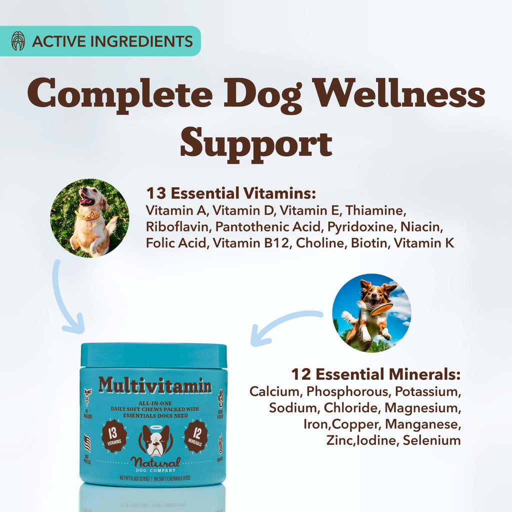 25-in-1 Multivitamin for Dogs 180 Count A6454