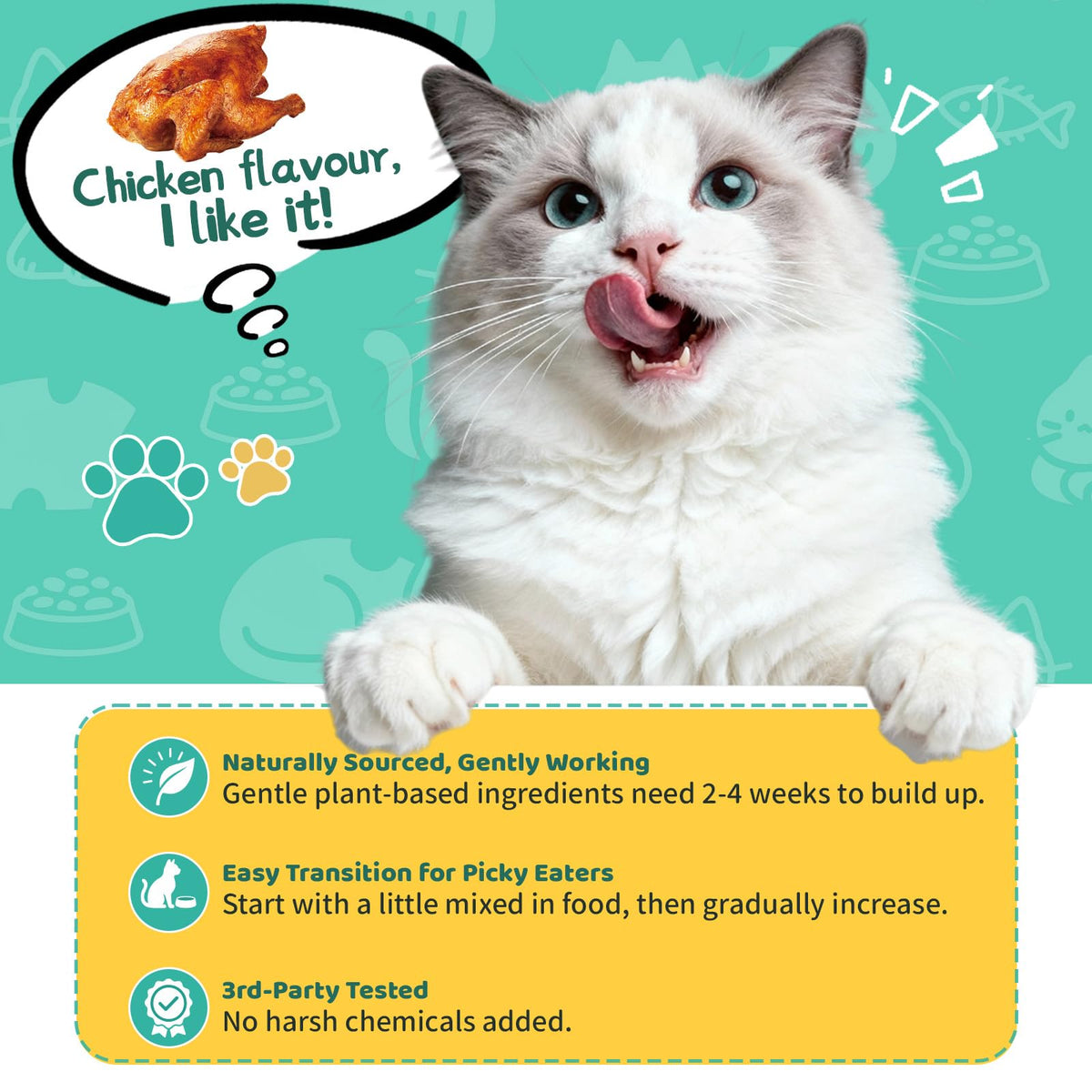 Omega 3 & Probiotic 60ml Allergy Relief for Cats B23344