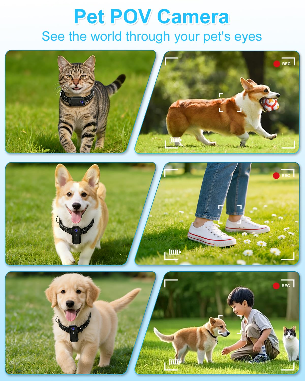 Cat Camera Collar with 1080P HD Video Record, XS-Size Pet POV Cam, 8GB SD Card D170686