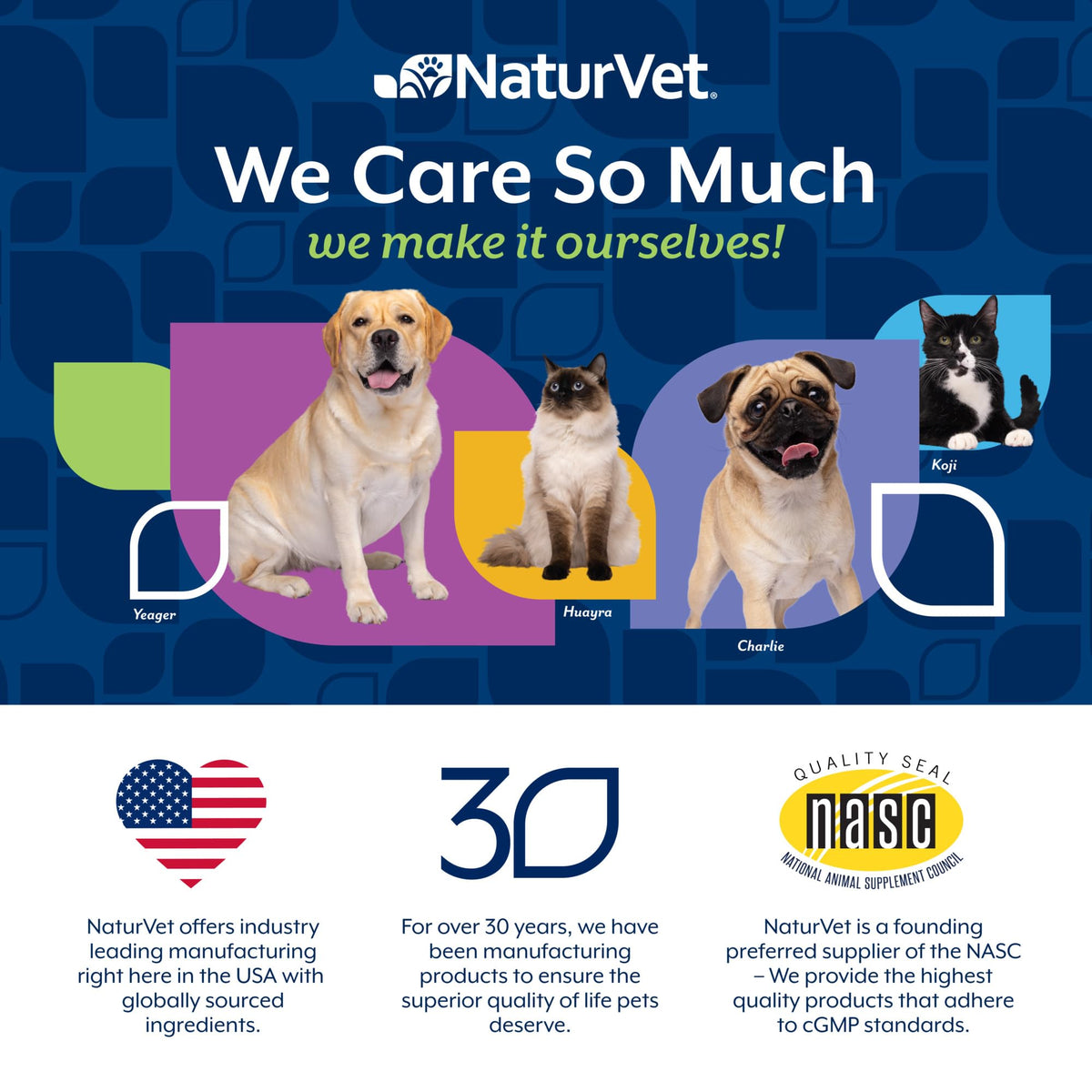 Senior Advanced Joint Health Dog Supplement 120 Ct X550