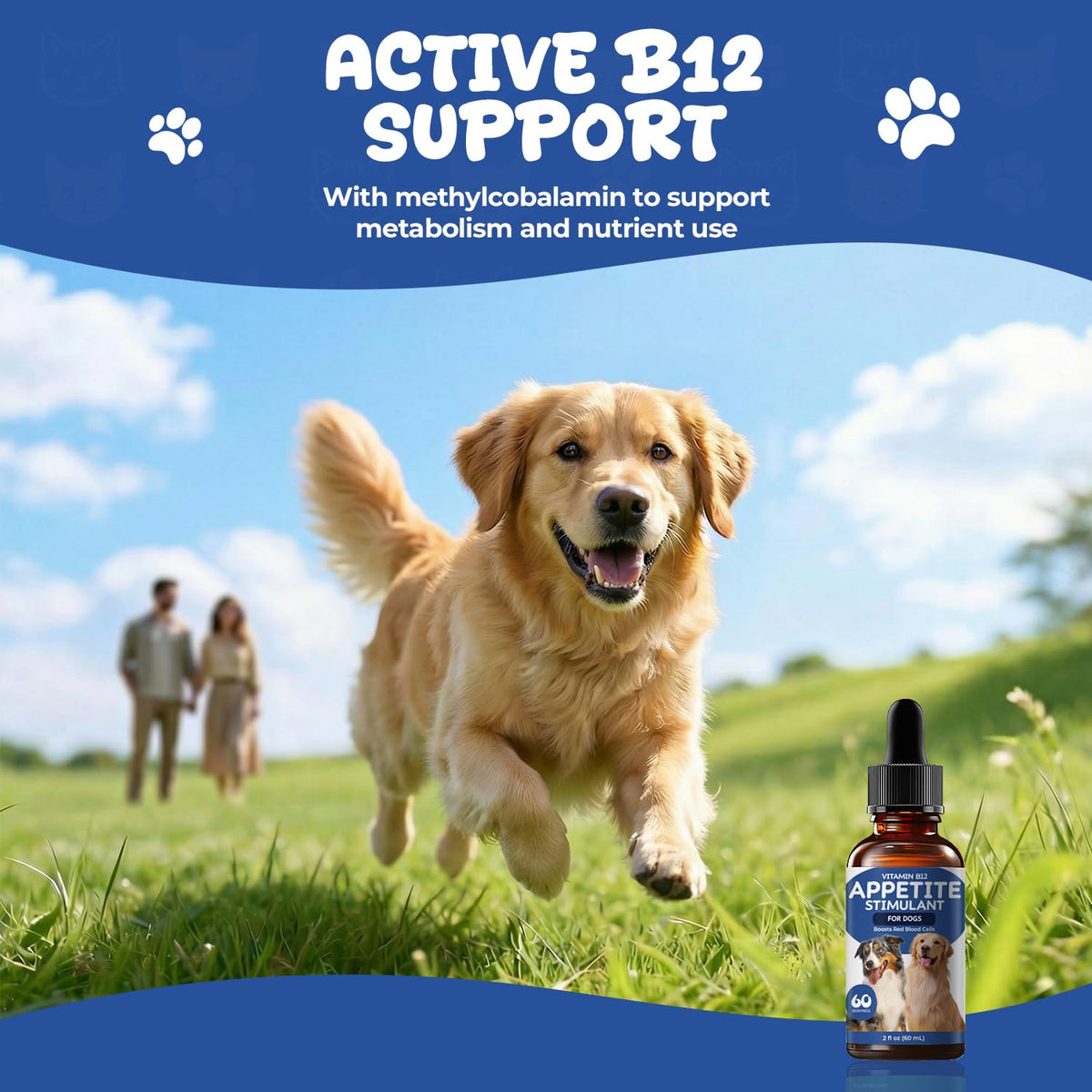Vitamin B12 Liquid Drops with Methylcobalamin Y2730