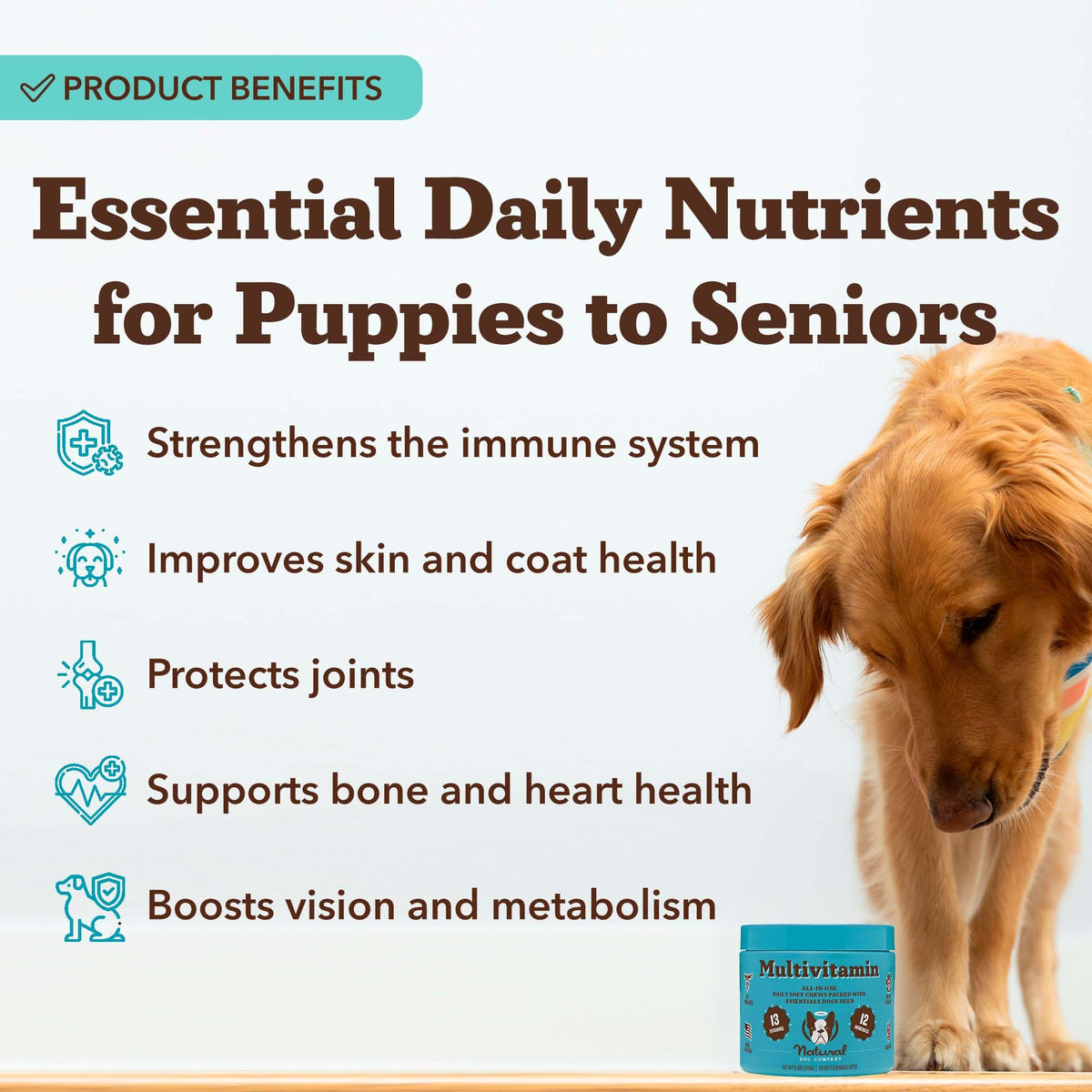 25-in-1 Multivitamin for Dogs 180 Count A6454