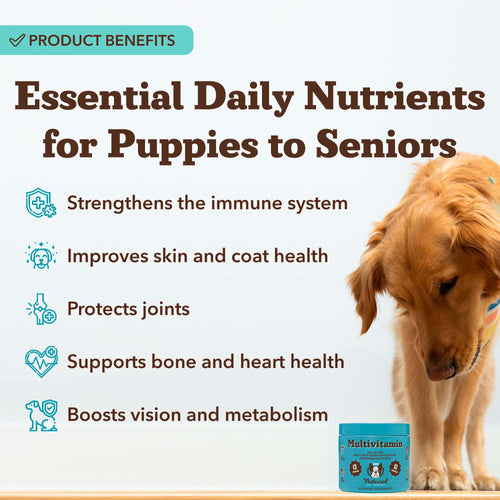 25-in-1 Multivitamin for Dogs 180 Count A6454