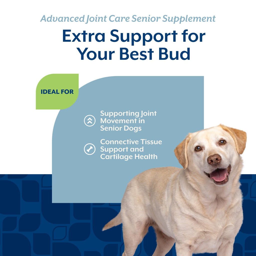 Senior Advanced Joint Health Dog Supplement 120 Ct X550