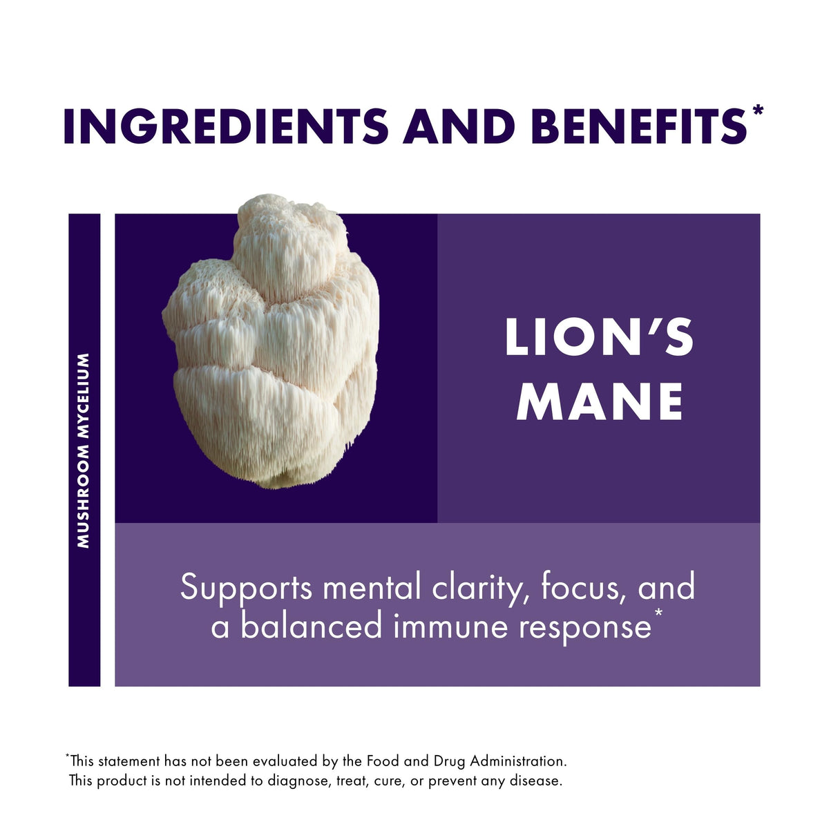 Lion's Mane 60 Capsules W227468