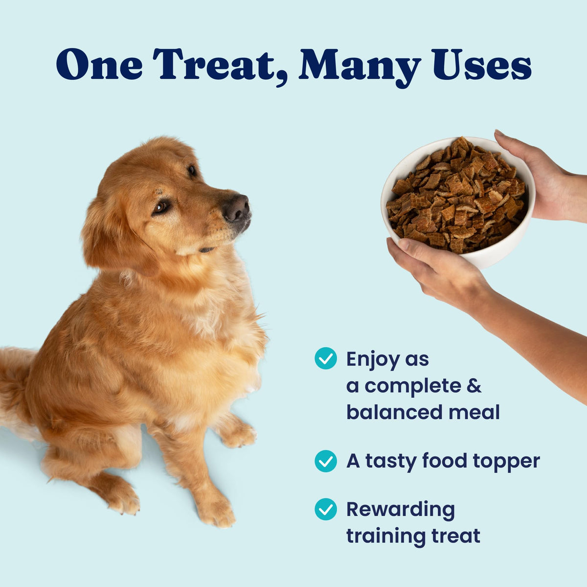 Air Dried Dog Food Topper & Treats Beef 1lb I38674