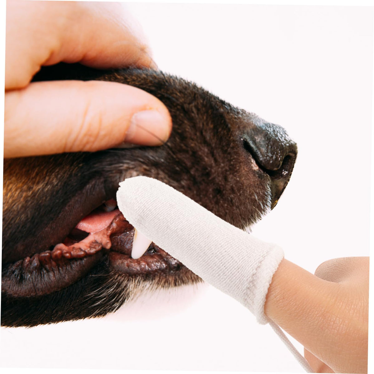 White Nylon Pet Finger Toothbrush 10pcs Q83077