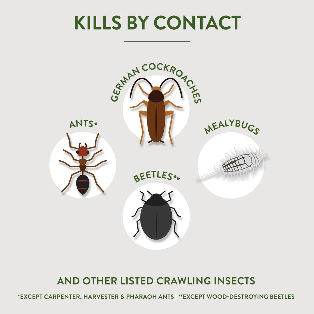 Crawling Insect Killer with Diatomaceous Earth 4 Lb H885
