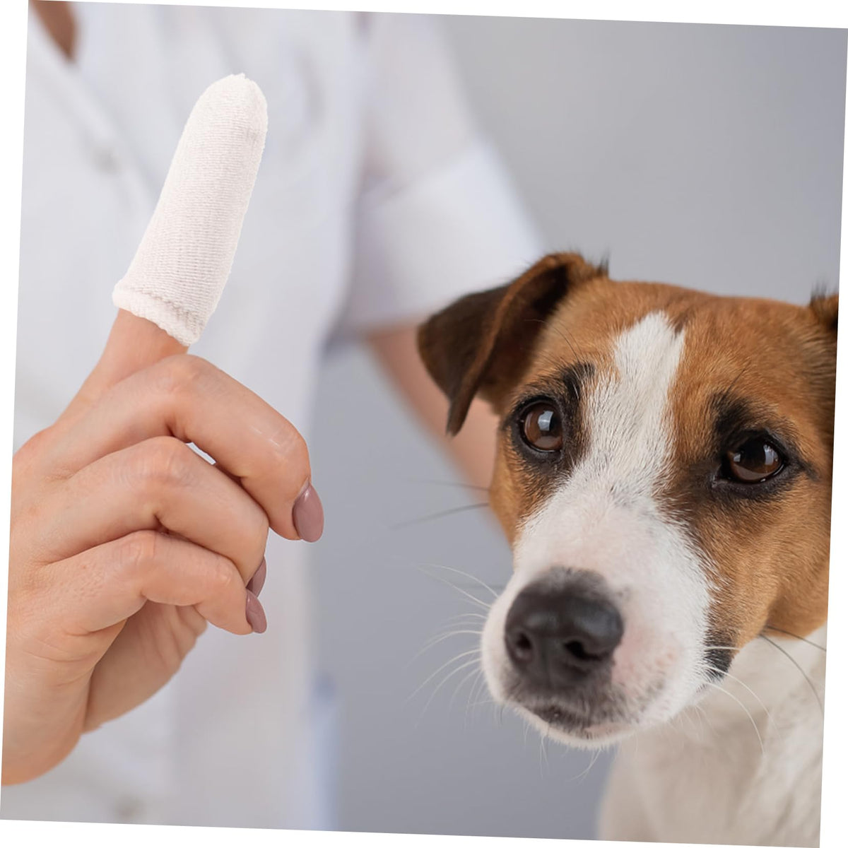 White Nylon Pet Finger Toothbrush 10pcs Q83077