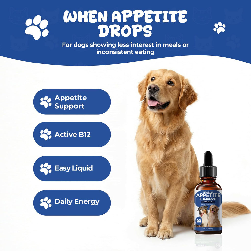 Vitamin B12 Liquid Drops with Methylcobalamin Y2730