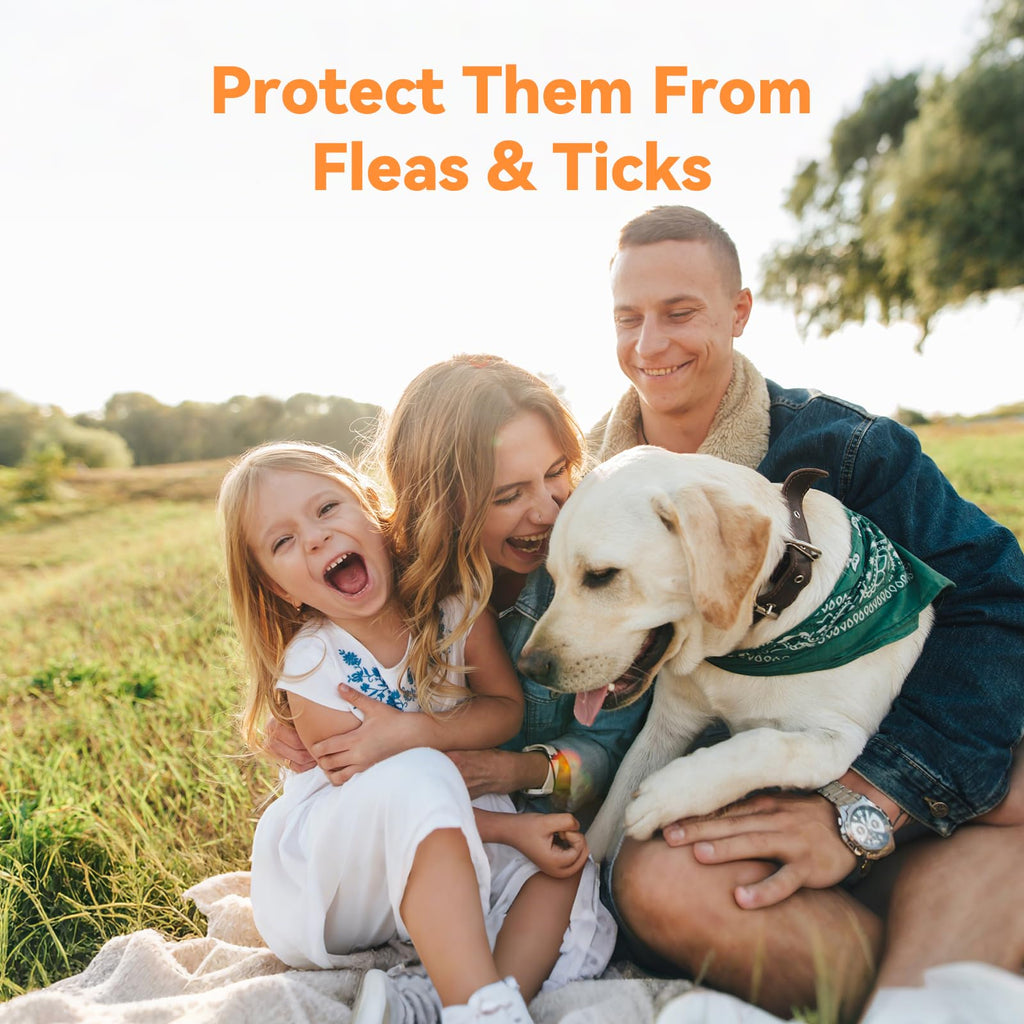 Flea and Tick Prevention for Small Dogs & Puppies, 3 Monthly Doses I69803
