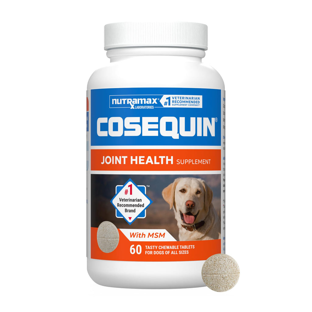 Joint Supplement for Dogs Chew Tabs 60ct A953542