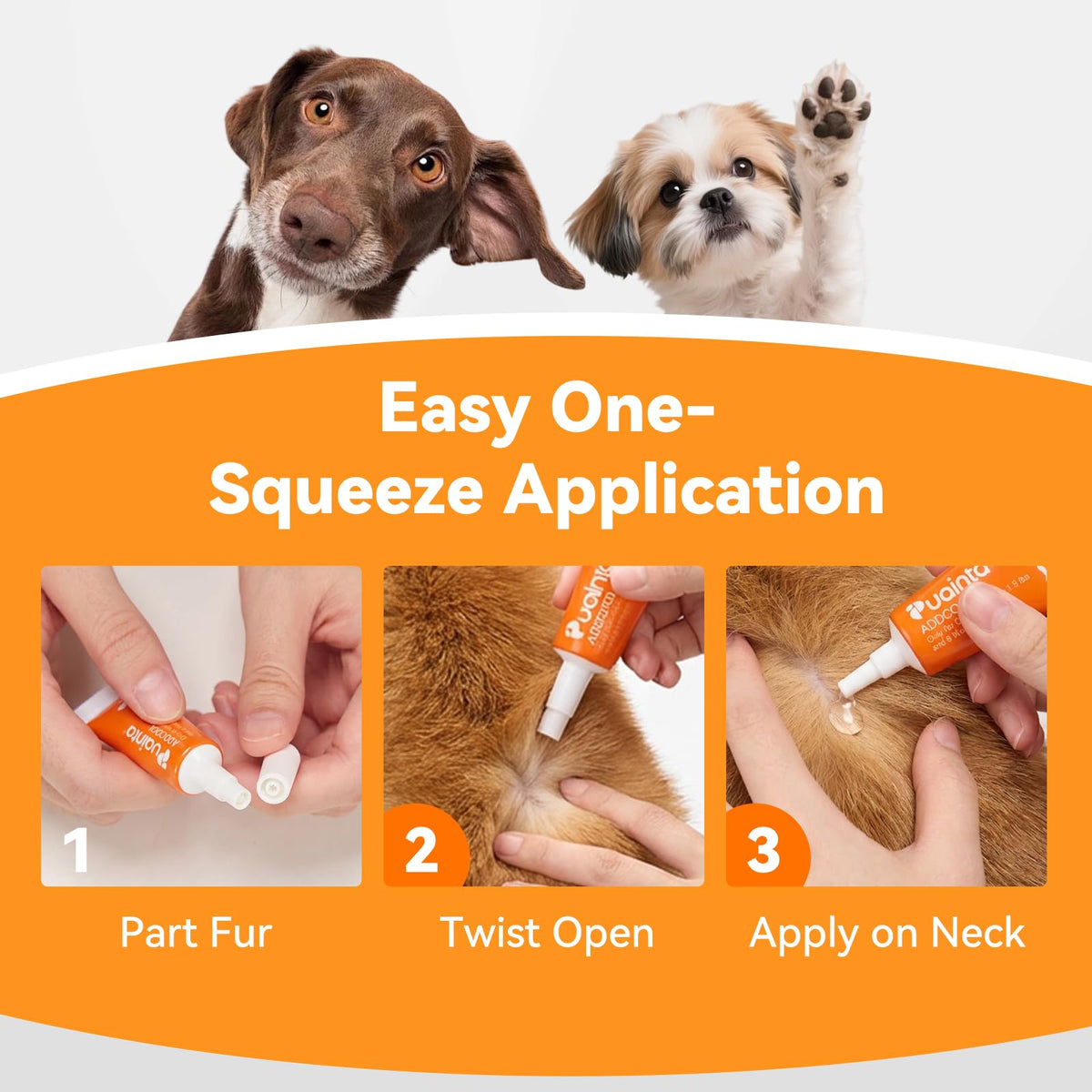Flea and Tick Prevention for Small Dogs & Puppies, 3 Monthly Doses I69803
