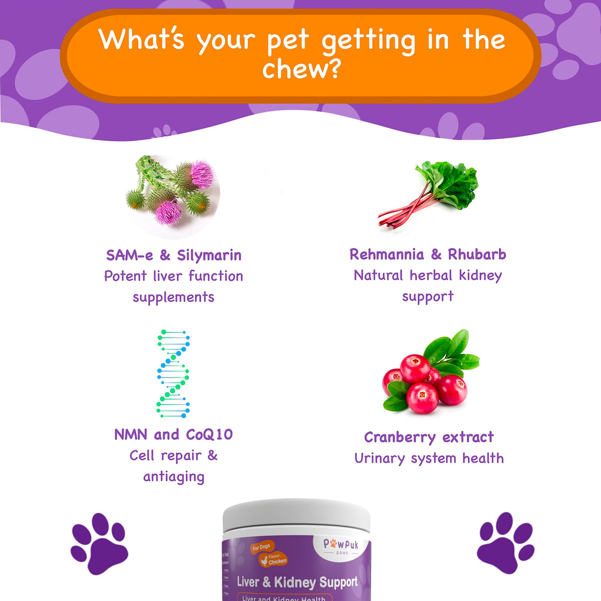 Liver & Kidney Vitamins Supplements for Dogs P705608