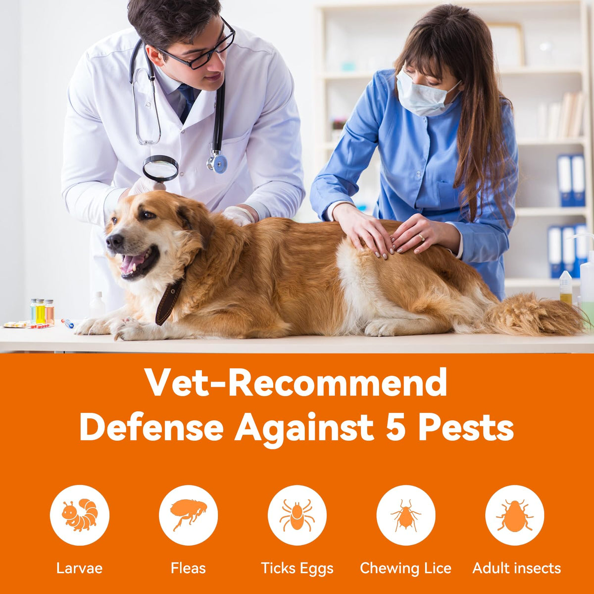 Flea and Tick Prevention for Small Dogs & Puppies, 3 Monthly Doses I69803