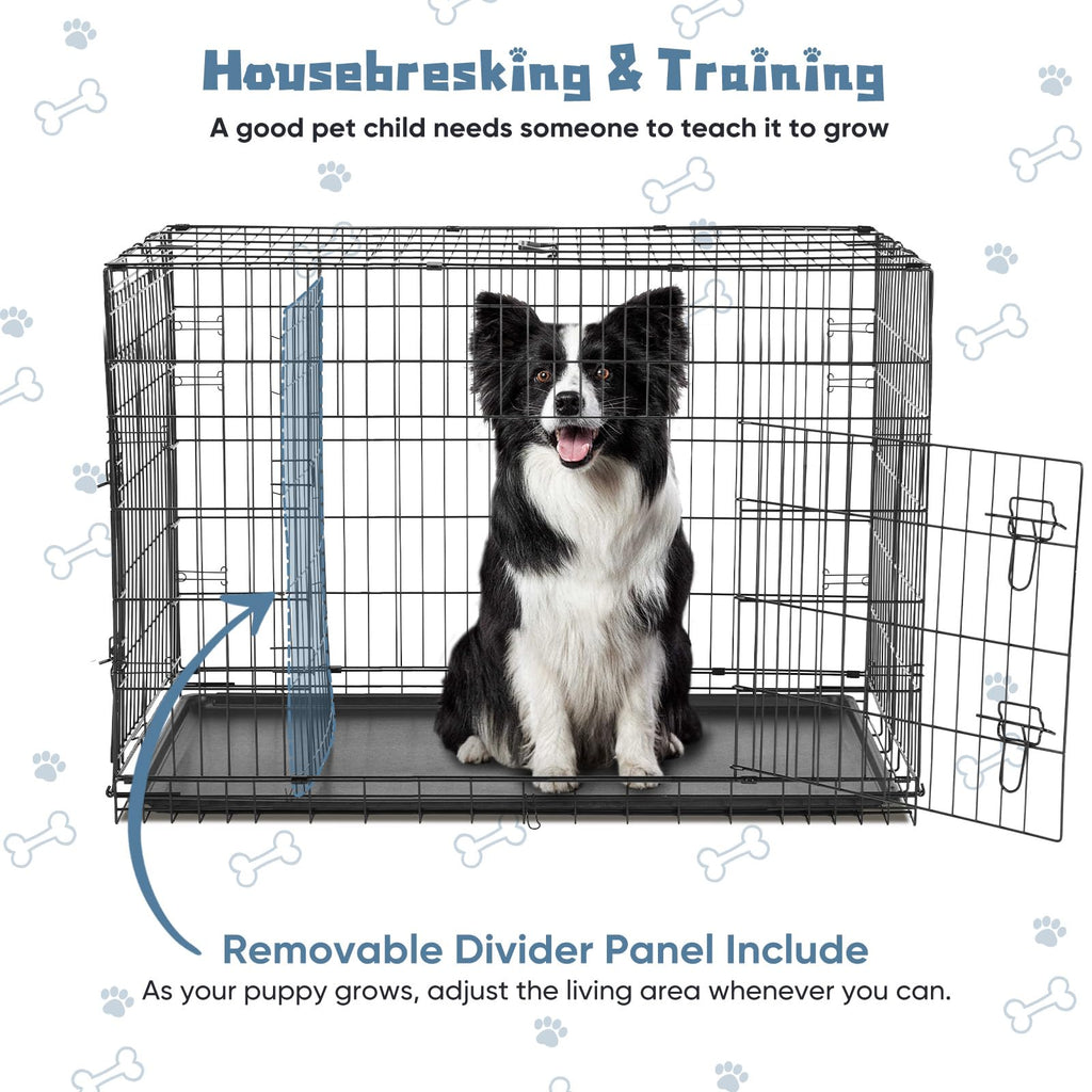 48 Inch Foldable Dog Crate R61506
