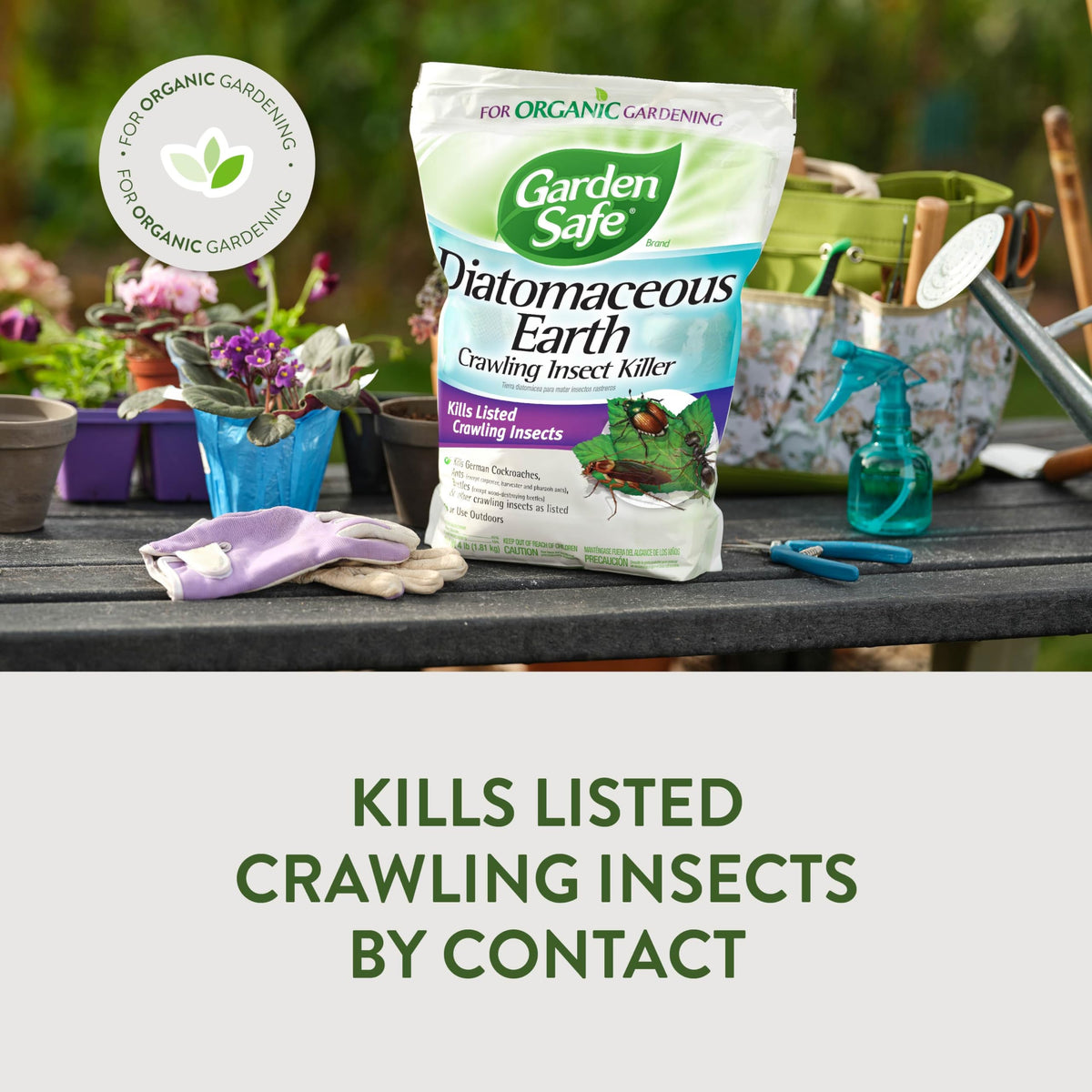 Crawling Insect Killer with Diatomaceous Earth 4 Lb H885