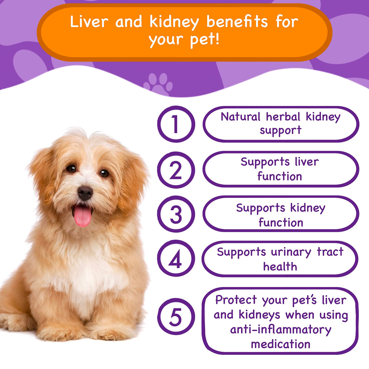Liver & Kidney Vitamins Supplements for Dogs P705608