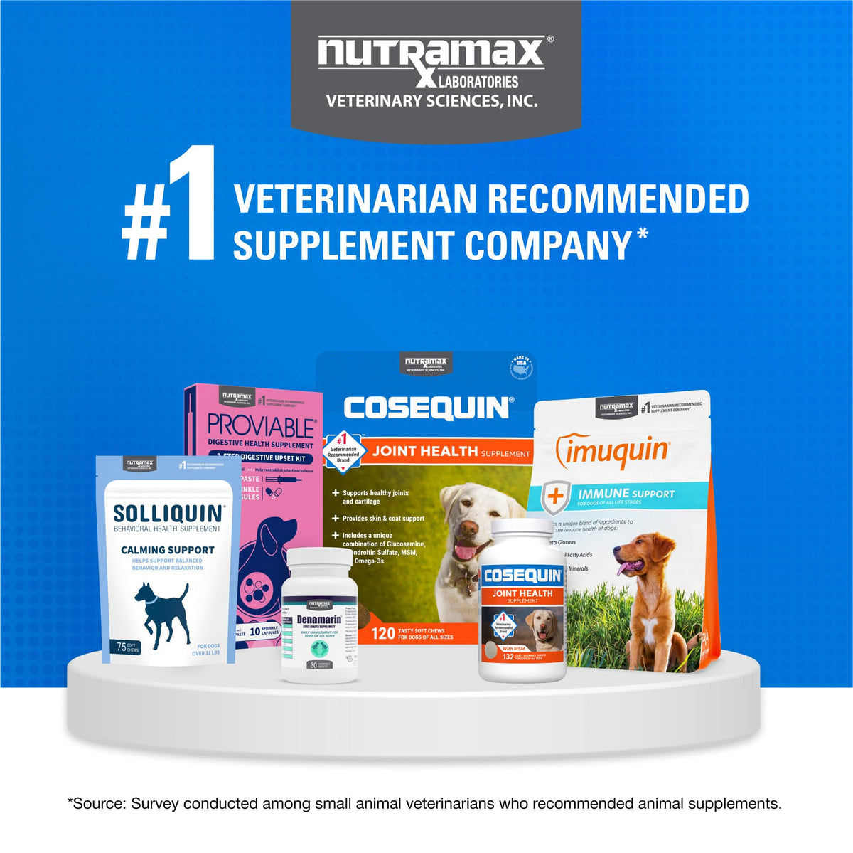 Joint Supplement for Dogs Chew Tabs 60ct A953542