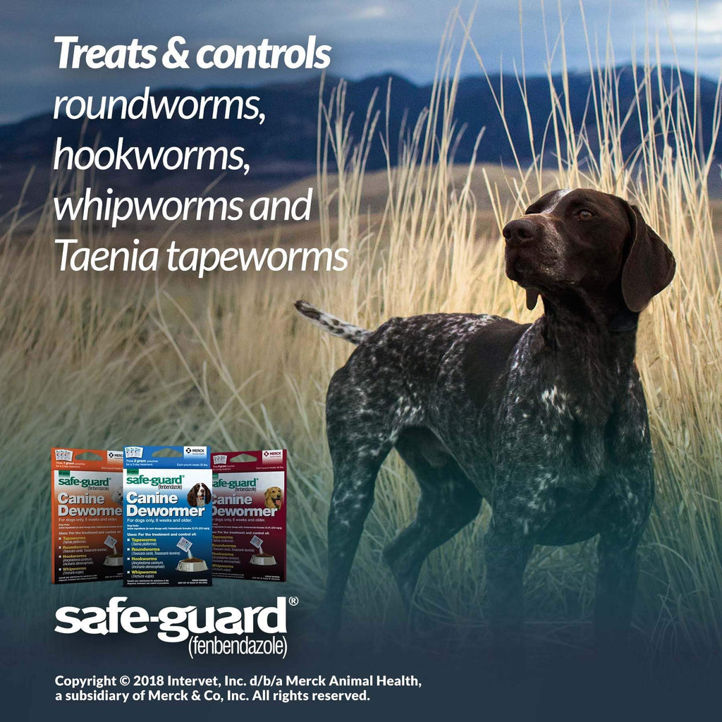 Canine Dewormer 1gm pouch O98673