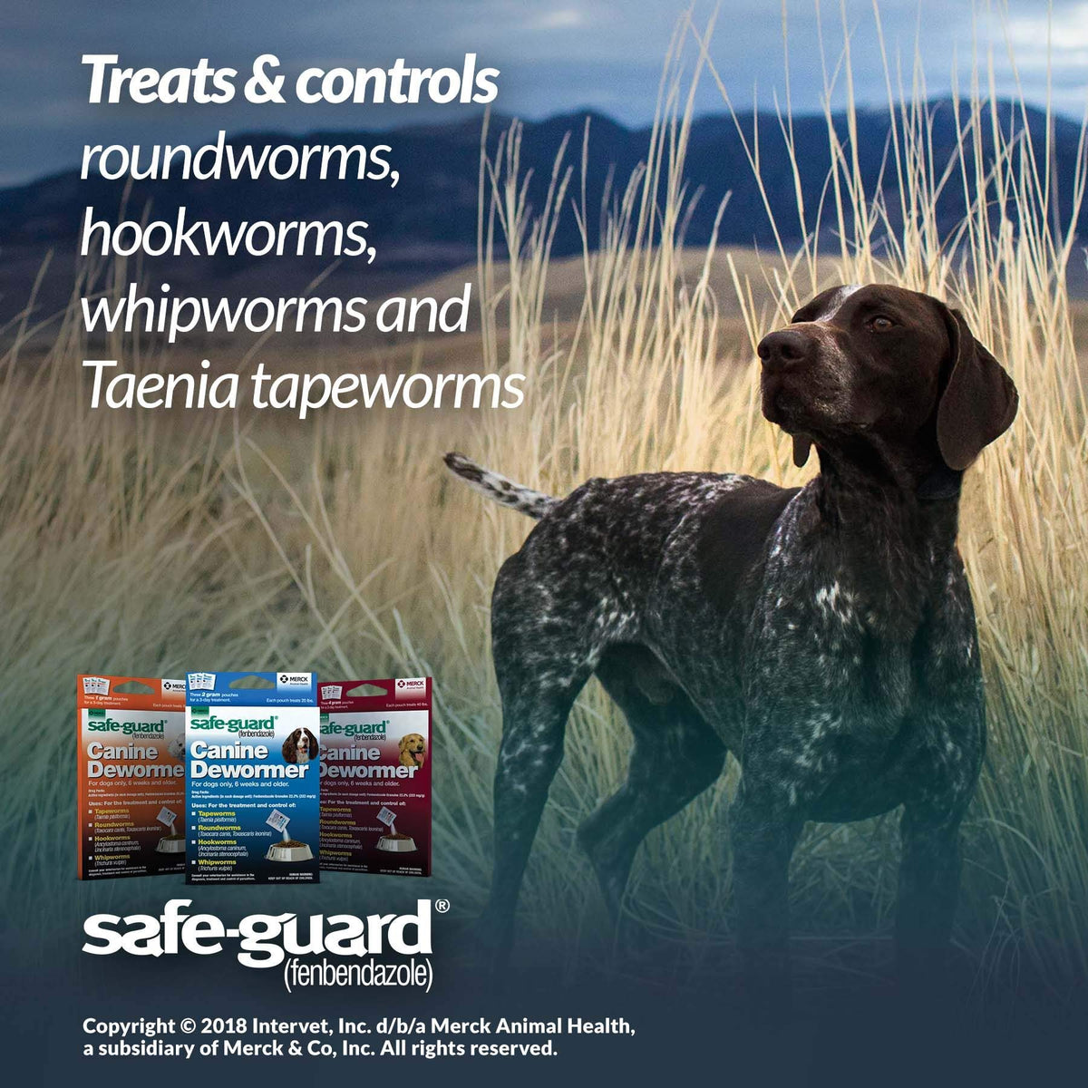 Canine Dewormer 1gm pouch O98673