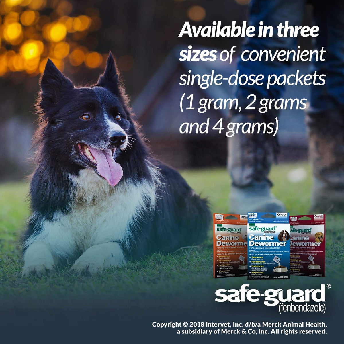 Canine Dewormer 1gm pouch O98673