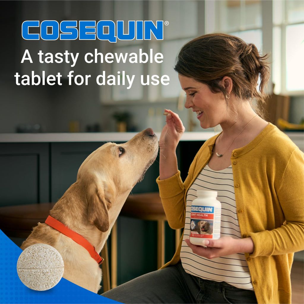 Joint Supplement for Dogs Chew Tabs 60ct A953542