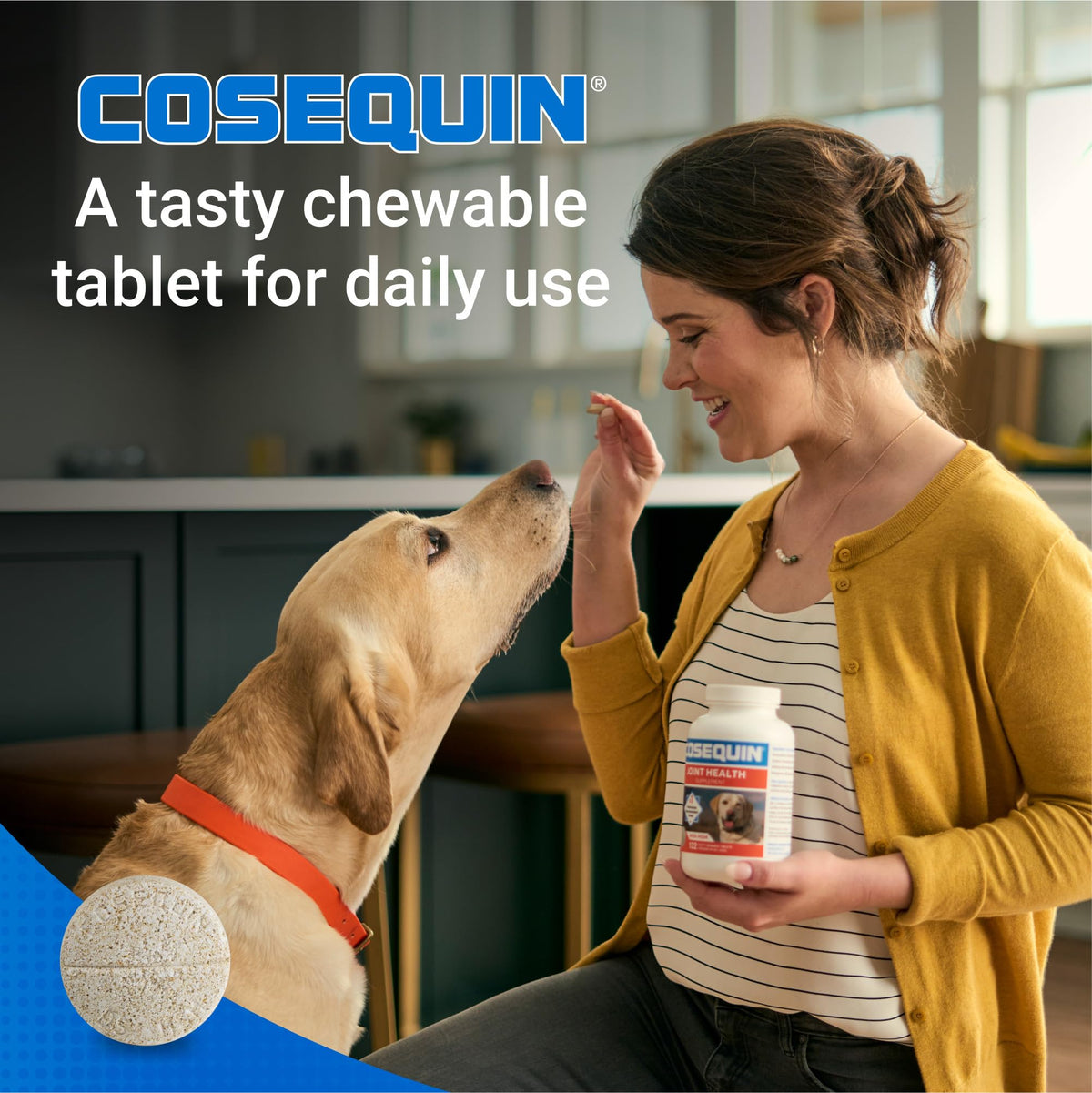 Joint Supplement for Dogs Chew Tabs 60ct A953542