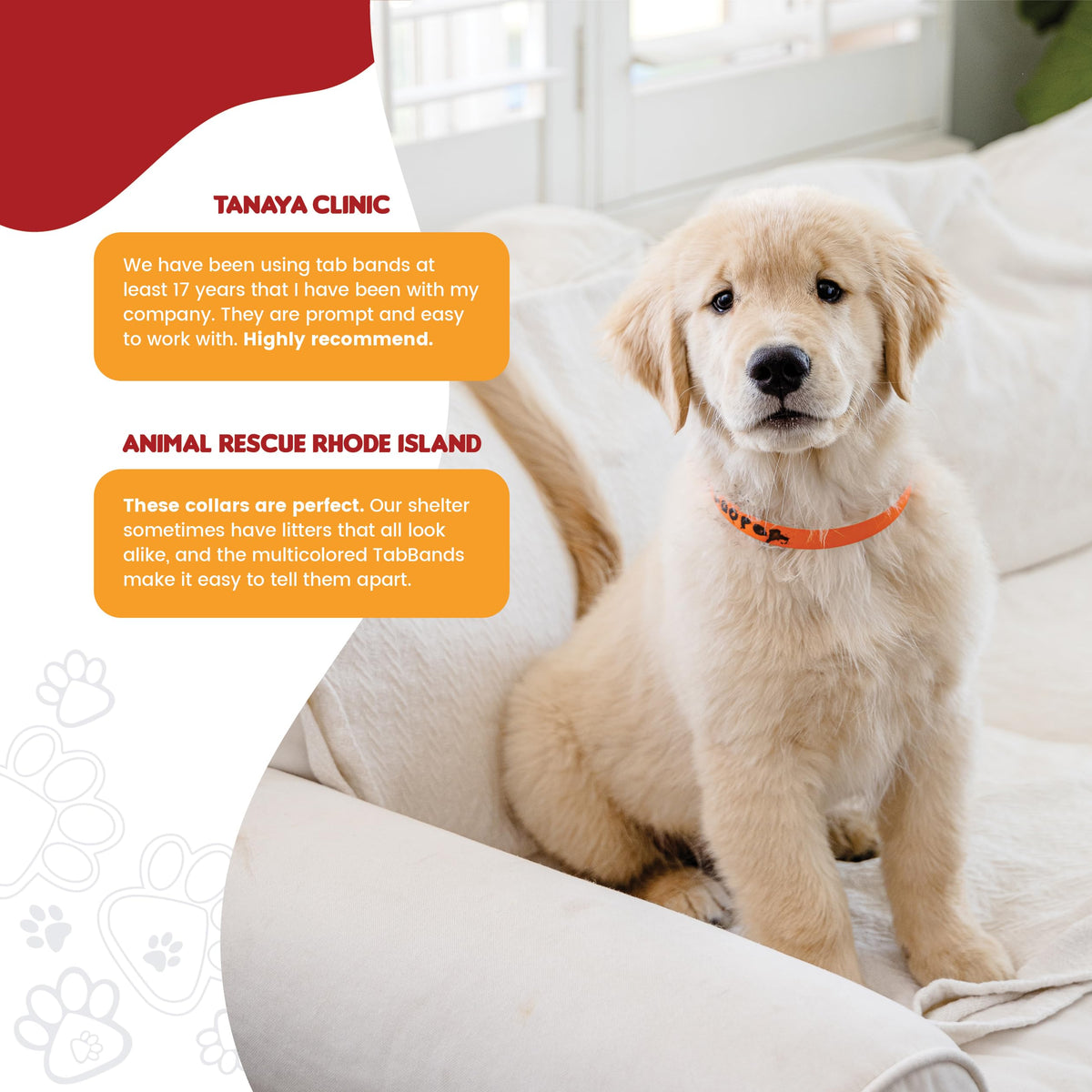 20 Inch 500 Count Waterproof Writable Tear-Resistant Pet ID Collars D53834