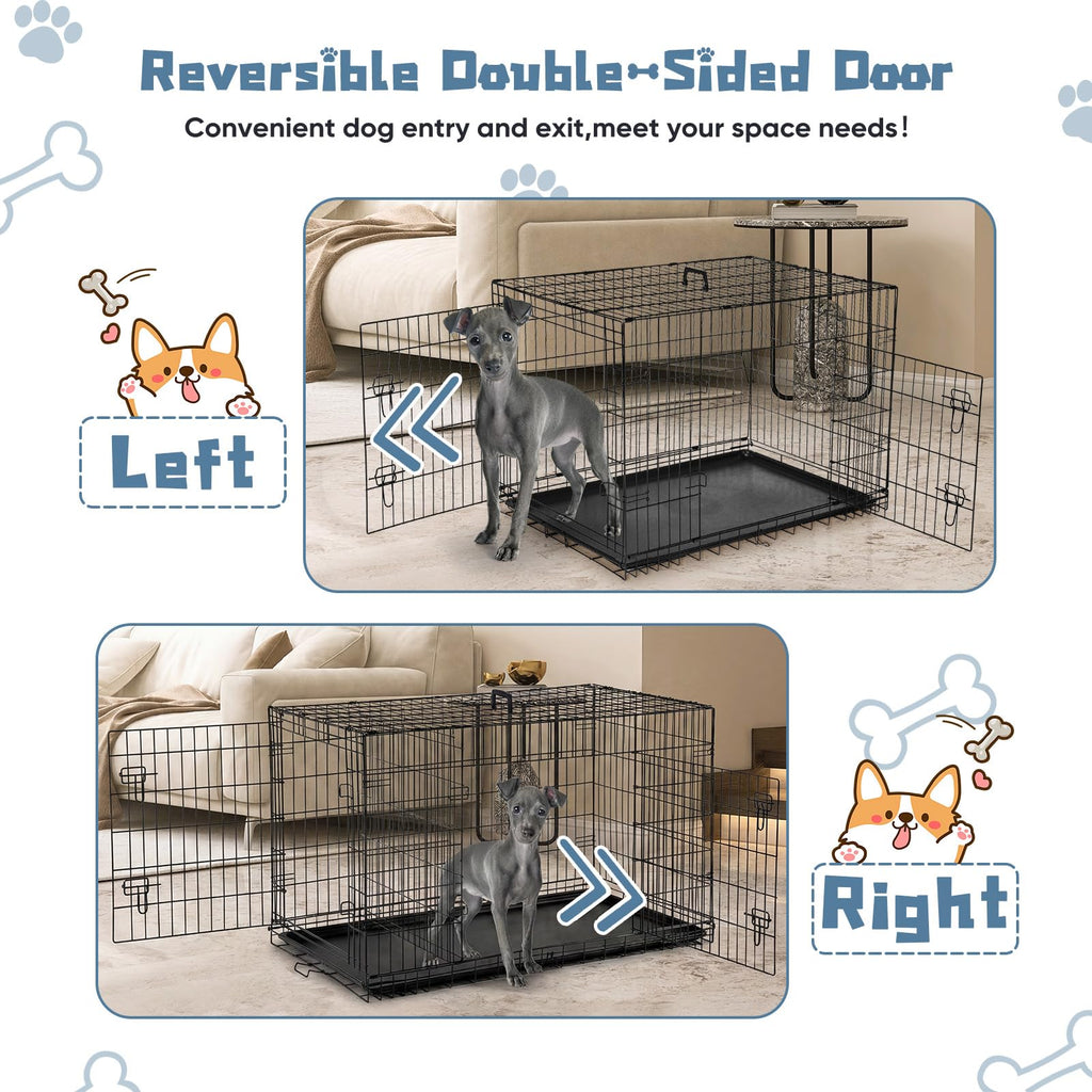 48 Inch Foldable Dog Crate R61506