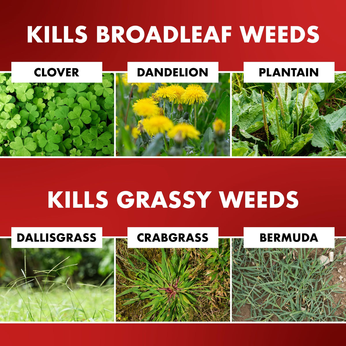 1 Gal Weed & Grass Killer H5470