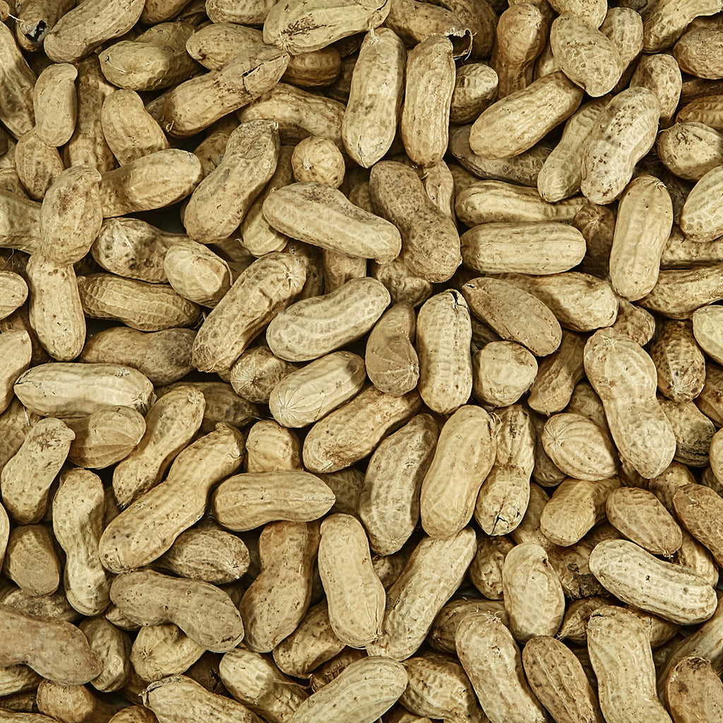 Whole Peanuts in Shell for Wild Birds, Two 5 Pound Bags Q635581